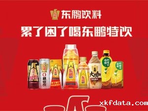 东鹏特饮客户案例