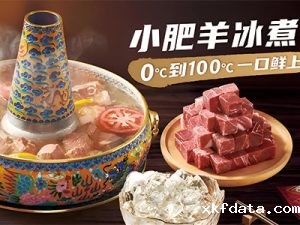 小肥羊客户案例