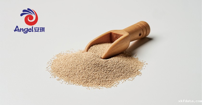 安琪酵母粉客户案例